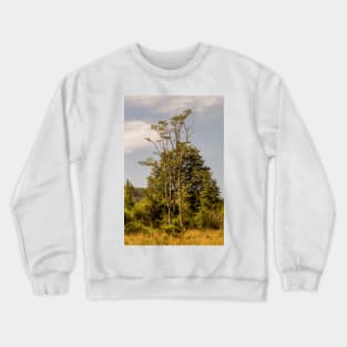 32316 young oaks Crewneck Sweatshirt